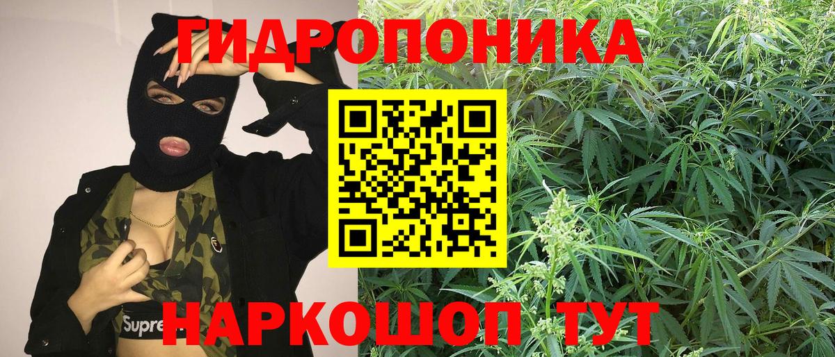 Бошки марихуана планчик  Бошки Шишки Amnesia  Десногорск  Бошки марихуана тримм  Вход с VPN 